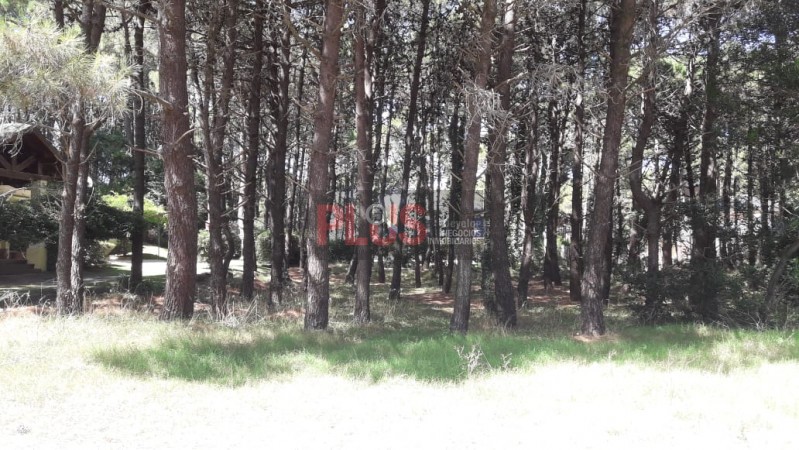 Excelente lote arbolado a nivel frente al Tennis Ranch Pinamar