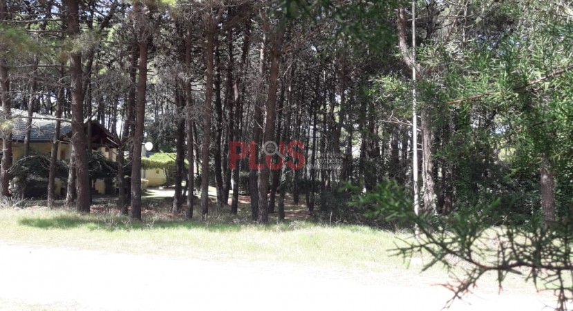 Excelente lote arbolado a nivel frente al Tennis Ranch Pinamar